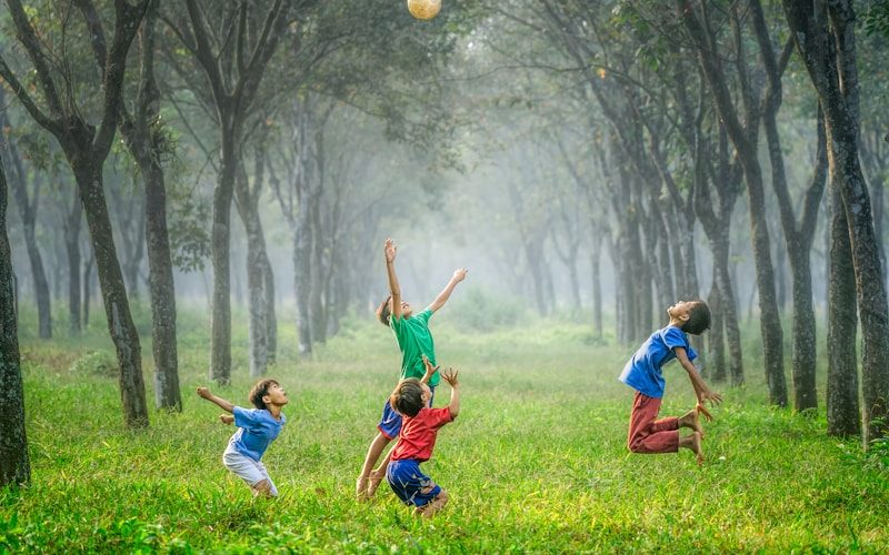 Walking Routes Near Great Yarmouth: Coastal Paths and Country Walks