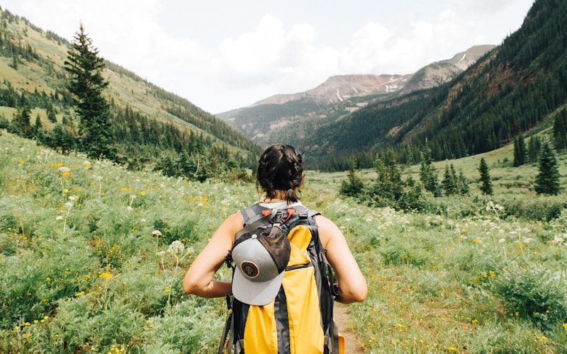 Cambridge Day Trip: Explore from Great Yarmouth